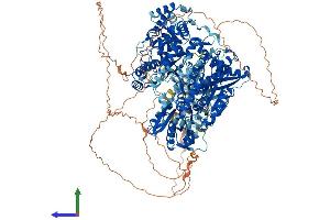 Protein Structure (PS) image for ATP-Dependent RNA Helicase A (DHX9) (AA 1-1380) protein (His tag) (ABIN7562506)