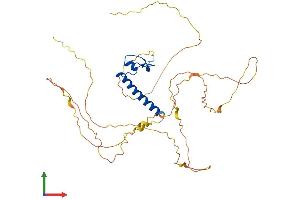 Protein Structure (PS) image for Doublesex and Mab-3 Related Transcription Factor 1 (DMRT1) (AA 1-374) protein (His tag) (ABIN7565164)