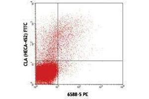 Flow Cytometry (FACS) image for anti-Chemokine (C-C Motif) Receptor 10 (CCR10) antibody (PE) (ABIN2662919) (CCR10 Antikörper  (PE))