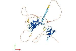 AlphaFold protein structure predicition of Human Recombinant EME1 Protein, UniprotID Q96AY2
