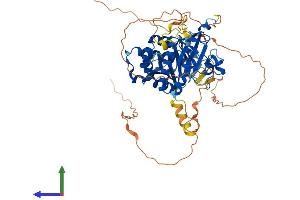Protein Structure (PS) image for Phosphatidylinositol-4-Phosphate 5-Kinase, Type I, alpha (PIP5K1A) (AA 1-562) protein (His tag) (ABIN7554989)