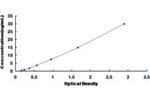 AGGF1 ELISA Kit