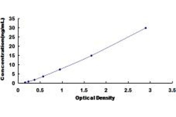 AGGF1 ELISA Kit