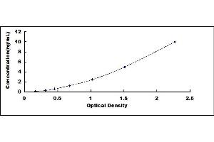 Typical standard curve (ARG2 ELISA Kit)