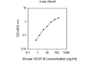 ELISA image for Vascular Endothelial Growth Factor B (VEGFB) ELISA Kit (ABIN2748742) (VEGFB ELISA Kit)