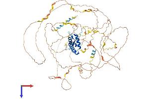 SOX30 Protein (AA 1-753) (His tag)