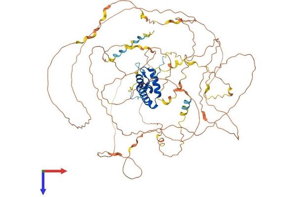 SOX30 Protein (AA 1-753) (His tag)