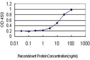 Detection limit for recombinant GST tagged CAMK2B is approximately 1ng/ml as a capture antibody. (CAMK2B Antikörper  (AA 1-503))