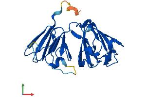 Protein Structure (PS) image for Crystallin, beta A2 (CRYbA2) (AA 1-197) protein (His tag) (ABIN7561608)