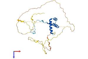 NKX1-2 Protein (AA 1-310) (His tag)