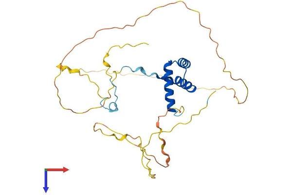 NKX1-2 Protein (AA 1-310) (His tag)