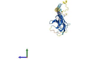 Protein Structure (PS) image for Tumor Necrosis Factor (Ligand) Superfamily, Member 10 (TNFSF10) (AA 1-281) protein (His tag) (ABIN7544424)