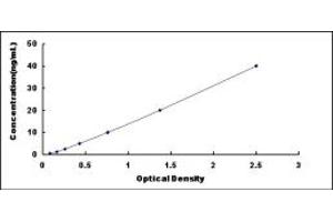 Typical standard curve (ANG ELISA Kit)