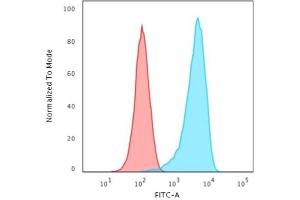 Flow Cytometric Analysis of Human K562 cells. (Rekombinanter CD43 Antikörper)