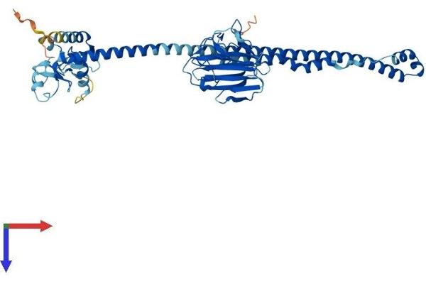 TRIM10 Protein (AA 1-489) (His tag)