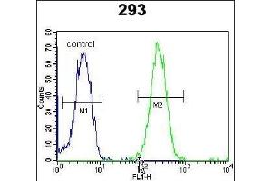 ZNF780A Antibody (N-term) (ABIN654493 and ABIN2844225) flow cytometric analysis of 293 cells (right histogram) compared to a negative control cell (left histogram). (ZNF780A Antikörper  (N-Term))