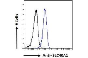 ABIN2613478 Flow cytometric analysis of paraformaldehyde fixed HeLa cells (blue line), permeabilized with 0. (SLC40A1 Antikörper  (AA 245-259))