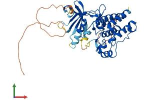 Protein Structure (PS) image for Moloney Sarcoma Oncogene (MOS) (AA 1-346) protein (His tag) (ABIN7549426)