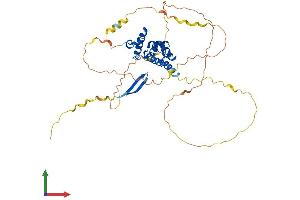 Protein Structure (PS) image for AT Rich Interactive Domain 3C (BRIGHT-Like) (ARID3C) (AA 1-412) protein (His tag) (ABIN7552300)