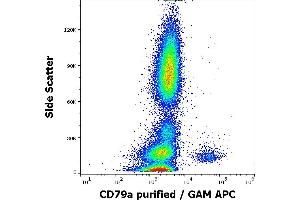 Flow cytometry intracellular staining pattern of human peripheral whole blood stained using anti-human CD79a (HM47) purified antibody (concentration in sample 4 μg/mL, GAM APC).