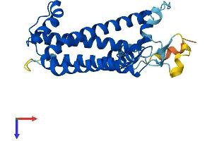 AlphaFold protein structure predicition of Human Recombinant ZDHHC22 Protein, UniprotID Q8N966