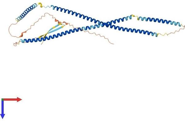 KRT23 Protein (AA 1-422) (His tag)