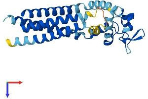 Tspan-8 Protein (AA 1-235) (His tag)
