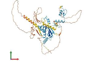 AlphaFold protein structure predicition of Human Recombinant ZBTB37 Protein, UniprotID Q5TC79