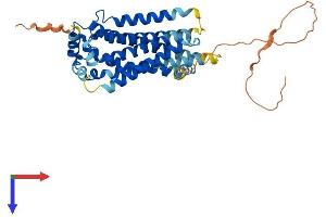 S1PR3 Protein (AA 1-378) (His tag)