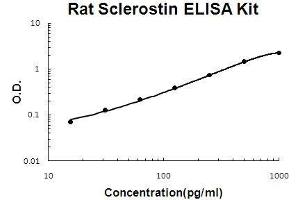 Rat Sclerostin/SOST PicoKine ELISA Kit standard curve (Sclerostin ELISA Kit)