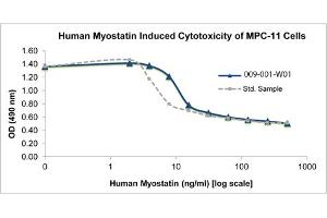 SDS-PAGE of Human Myostatin Recombinant Protein Bioactivity of Human Myostatin Recombinant Protein. (MSTN Protein)