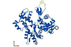 AlphaFold protein structure predicition of Human Recombinant POTEKP Protein, UniprotID Q9BYX7