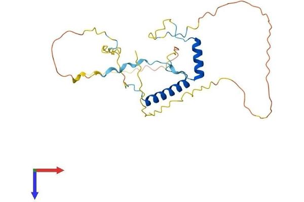 PAGR1 Protein (AA 1-254) (His tag)