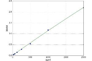 Fms-Related tyrosine Kinase 3 (FLT3) ELISA Kit