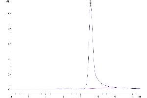 Size-exclusion chromatography-High Pressure Liquid Chromatography (SEC-HPLC) image for Insulin-Like Growth Factor Binding Protein 7 (IGFBP7) (AA 26-281) protein (His tag) (ABIN7274865)