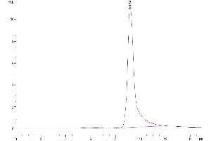 The purity of Mouse IGFBP-7 is greater than 95 % as determined by SEC-HPLC. (IGFBP7 Protein (AA 26-281) (His tag))