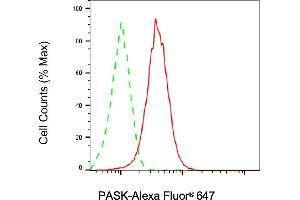 Flow cytometric analysis of PASK expression in HAP-1 cells using PASK antibody (ABIN7799741), 1:2,000).