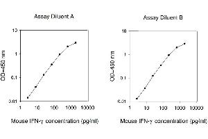 Interferon gamma (IFNG) ELISA Kit