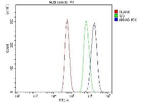 Flow Cytometry analysis of U87 cells using anti-Annexin VI antibody (ABIN7601597).