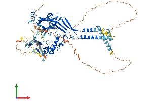 AlphaFold protein structure predicition of Human Recombinant SCNN1A Protein, UniprotID P37088 (SCNN1A Protein (AA 1-669) (His tag))
