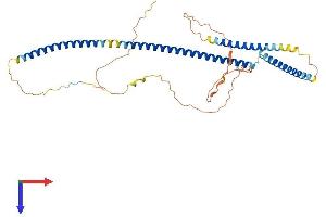 AZI2 Protein (AA 1-392) (His tag)