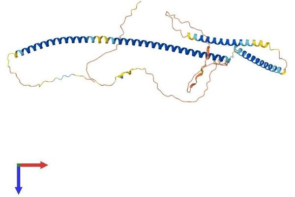 AZI2 Protein (AA 1-392) (His tag)