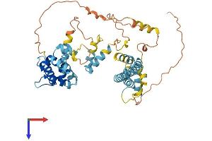 AlphaFold protein structure predicition of Mouse Recombinant Efcab3 Protein, UniprotID Q80X60 (EFCAB3 Protein (AA 1-432) (His tag))