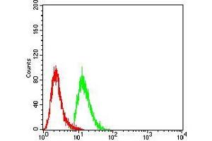 Flow Cytometry (FACS) image for anti-Wilms Tumor 1 Associated Protein (WTAP) (AA 91-201) antibody (ABIN5542407)
