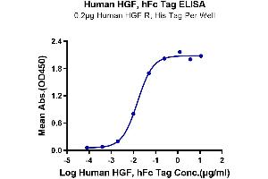 ELISA image for Hepatocyte Growth Factor (Hepapoietin A, Scatter Factor) (HGF) (AA 32-728) protein (Fc Tag) (ABIN7274810)