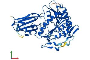 AlphaFold protein structure predicition of Mouse Recombinant Acnat2 Protein, UniprotID Q8BGG9