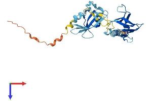 DAPP1 Protein (AA 1-280) (His tag)