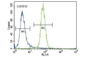 Flow Cytometry (FACS) image for anti-Runt-Related Transcription Factor 2 (RUNX2) antibody (ABIN3003461) (RUNX2 Antikörper)
