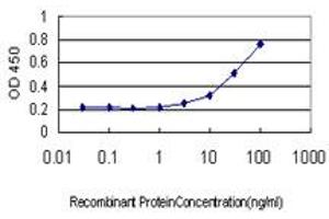Detection limit for recombinant GST tagged GREM1 is approximately 3ng/ml as a capture antibody. (GREM1 Antikörper  (AA 75-184))