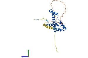 AlphaFold protein structure predicition of Human Recombinant TAF11 Protein, UniprotID Q15544